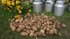 Cylvāks ar augstu pošapziņu var atsaļaut byut prosts
