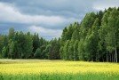 Ar bārzu meijom atnuok vosora