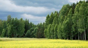 Ar bārzu meijom atnuok vosora