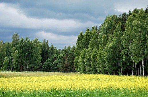Ar bārzu meijom atnuok vosora