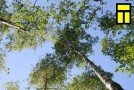 “Kolnasāta” 8. junī īt mauduotūs. Bez PVN