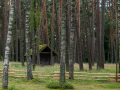 Latvejis Etnografiskais breivdobys muzejs. Foto: Amanda Anusāne/portals lakuga.lv